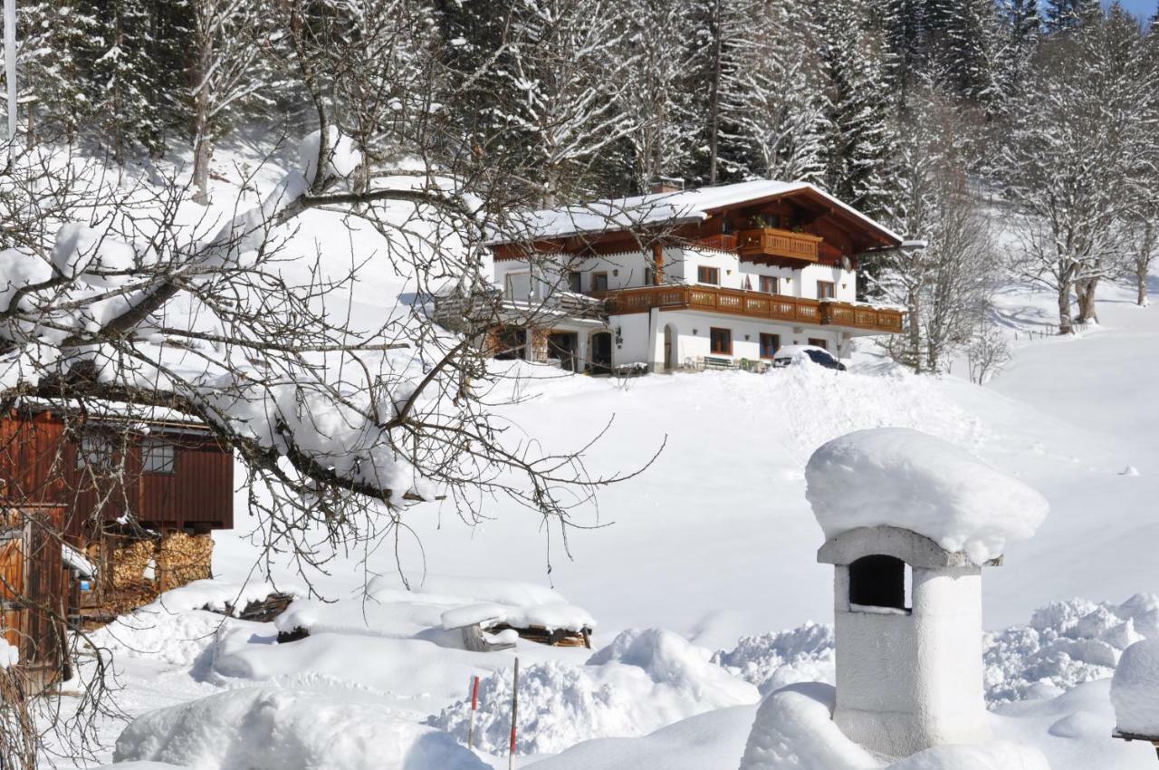 Gästehaus ERLE Ramsau am Dachstein Exterior foto